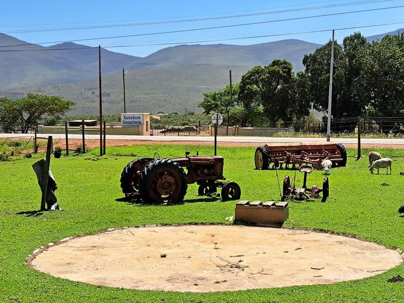 11 Bedroom Property for Sale in Kareedouw Eastern Cape